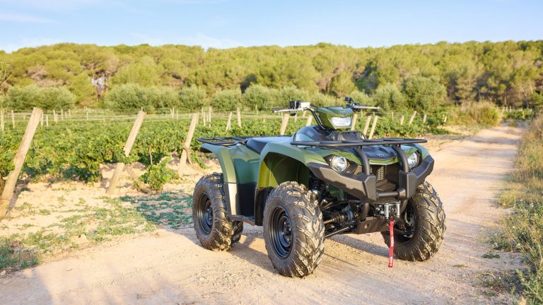 2025-Yamaha-YFM450FWBD-25-EU-Detail-006-03